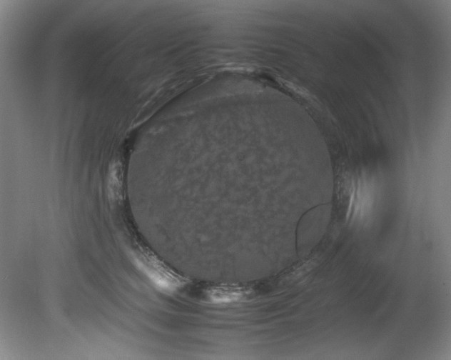 X0000082170661200701191309