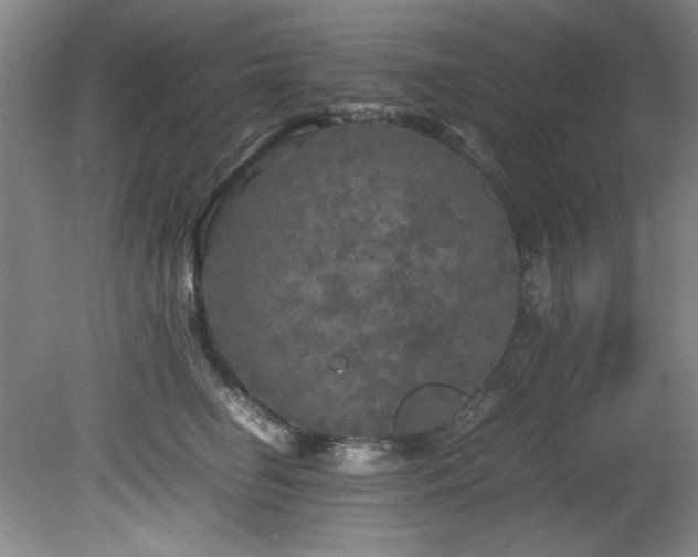 X0000082170662200701191309