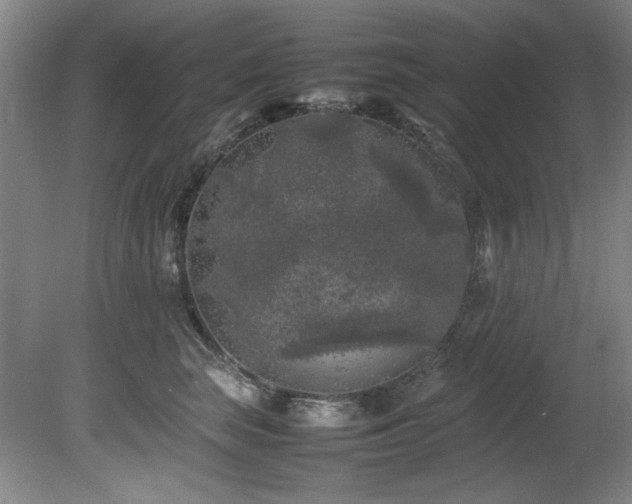 X0000082170663200701191309