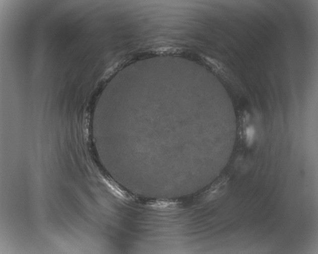 X0000082170664200701191309