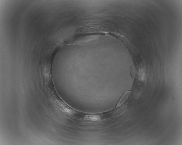 X0000082170665200701191309