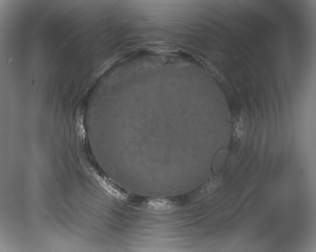 X0000082170666200701191309