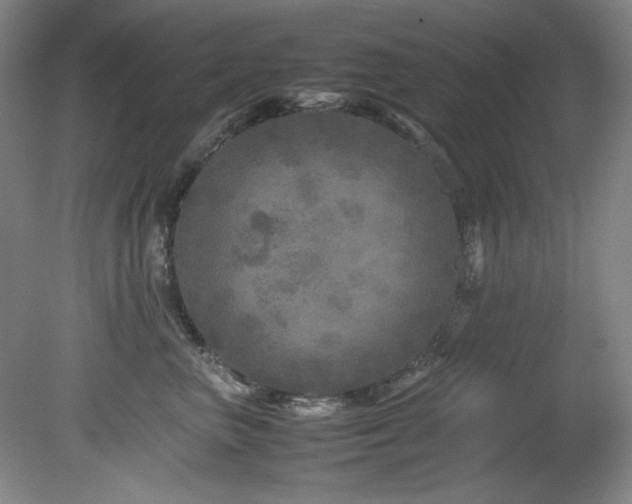 X0000082170667200701191309