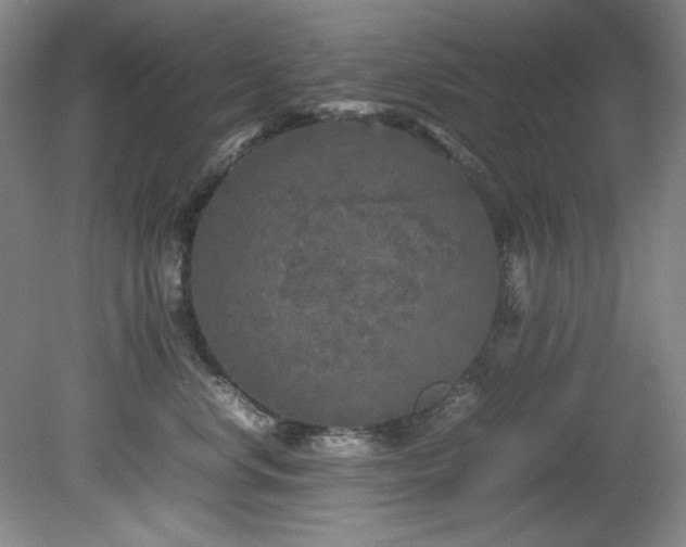 X0000082170668200701191309