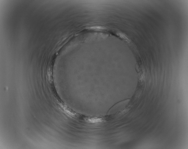 X0000082170669200701191309