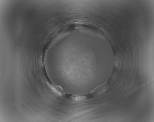 X0000082170670200701191309