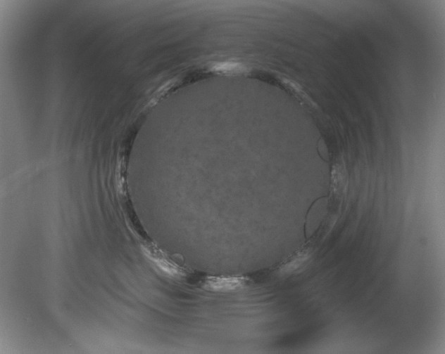 X0000082170671200701191309