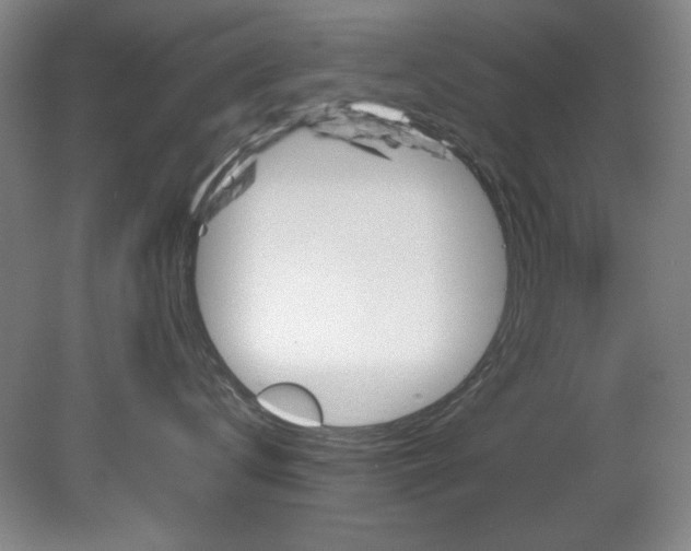 X0000082170672200701191309