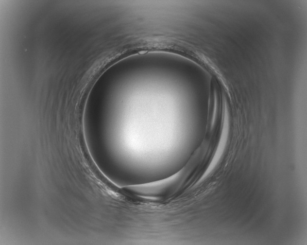 X0000082170673200701191308