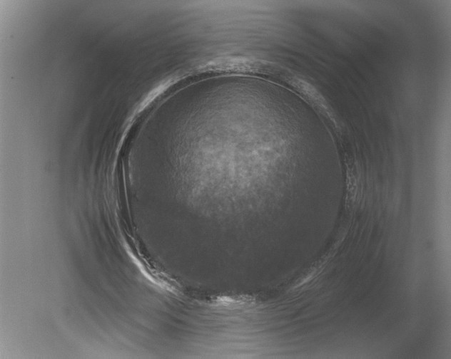 X0000082170674200701191308