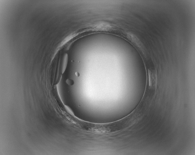 X0000082170675200701191308