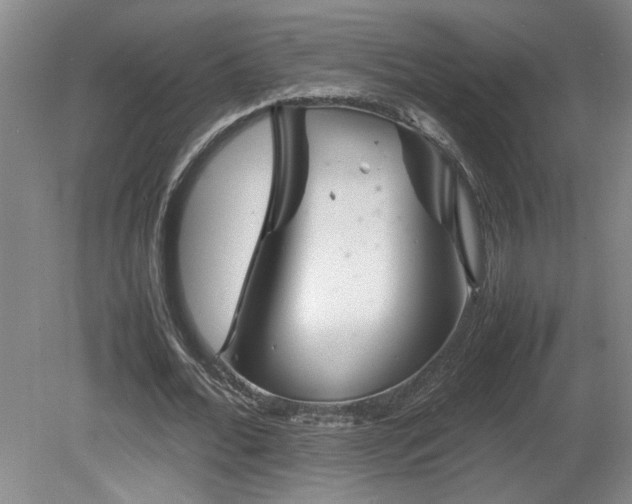 X0000082170676200701191308