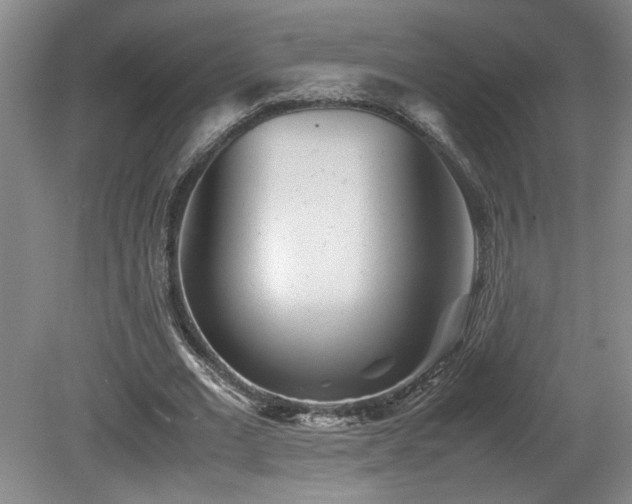 X0000082170677200701191308