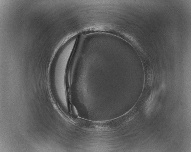 X0000082170678200701191308