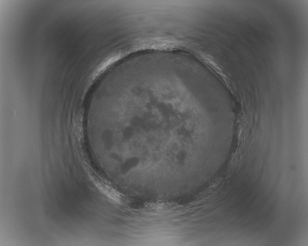 X0000082170679200701191308