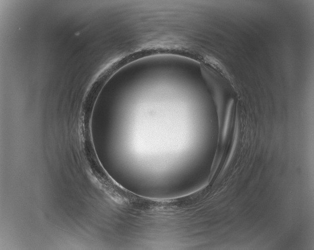 X0000082170680200701191308