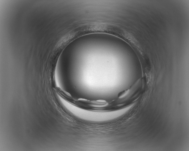 X0000082170681200701191308