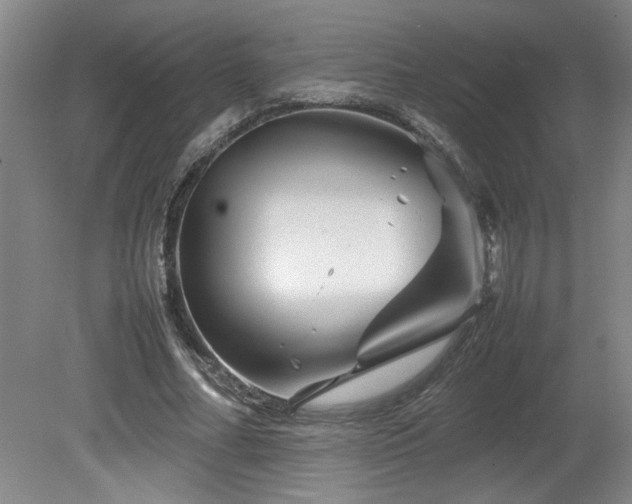 X0000082170682200701191308