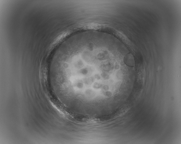 X0000082170683200701191308