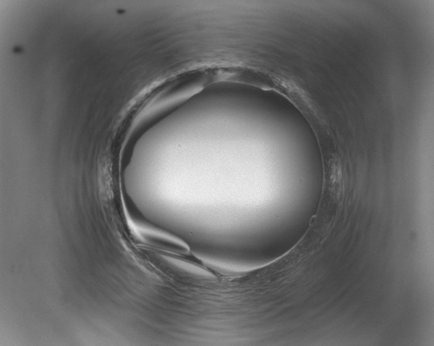 X0000082170684200701191308