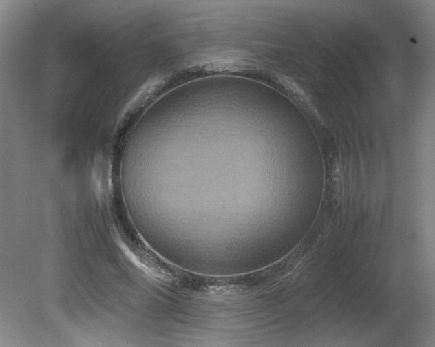 X0000082170686200701191308