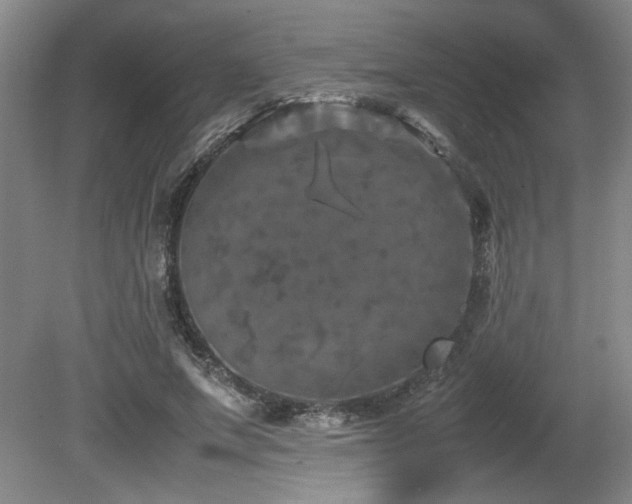 X0000082170687200701191308