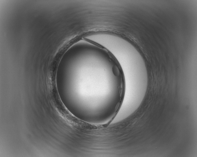 X0000082170688200701191308