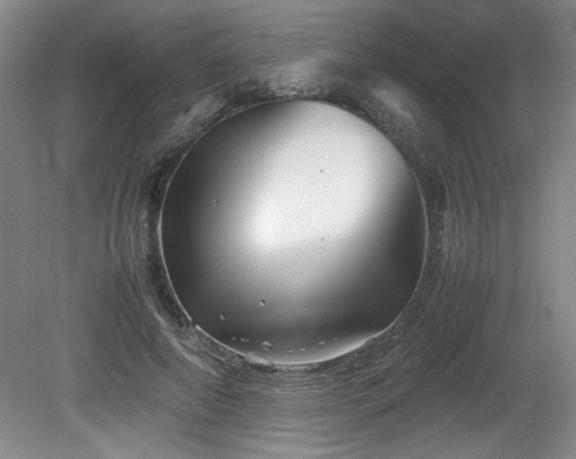 X0000082170690200701191308