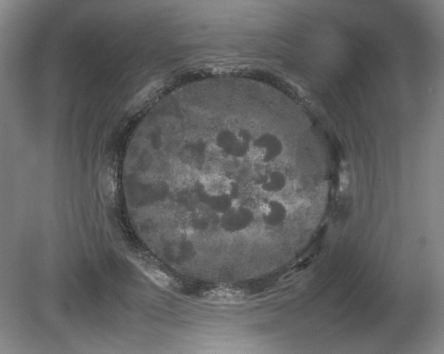 X0000082170691200701191308