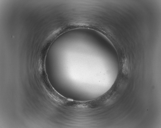 X0000082170692200701191308