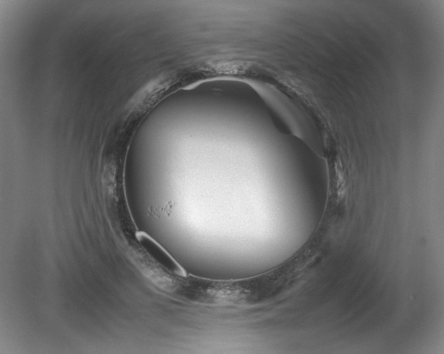 X0000082170693200701191308