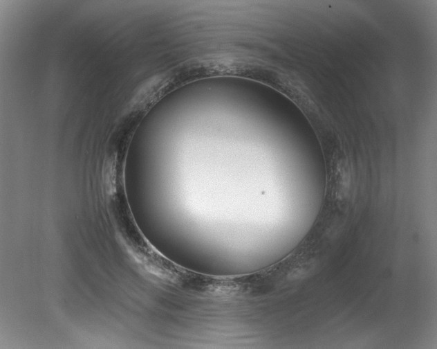 X0000082170694200701191308