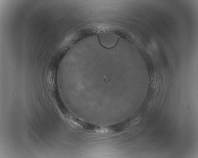 X0000082170695200701191308