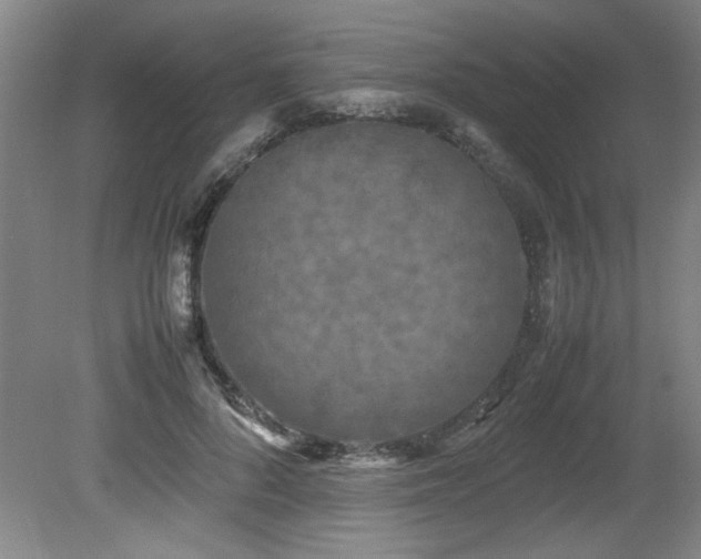 X0000082170696200701191308