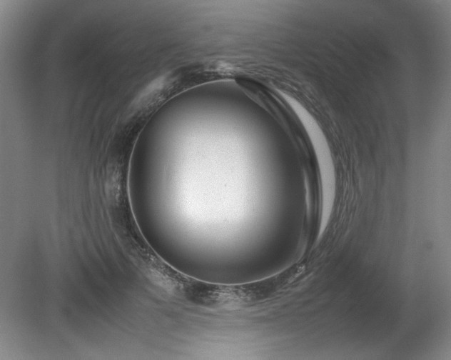 X0000082170697200701191308