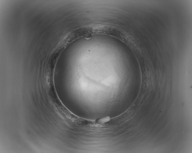 X0000082170698200701191308