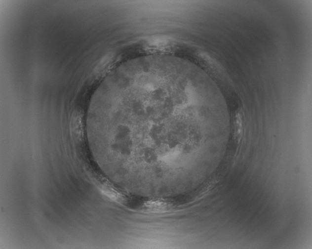 X0000082170699200701191308