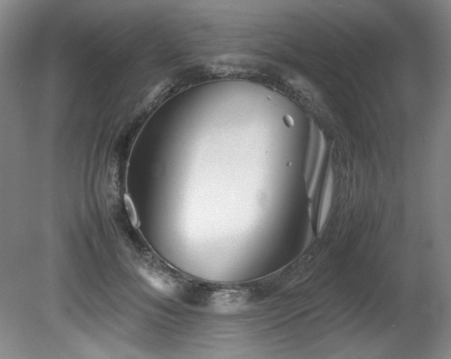 X0000082170700200701191308