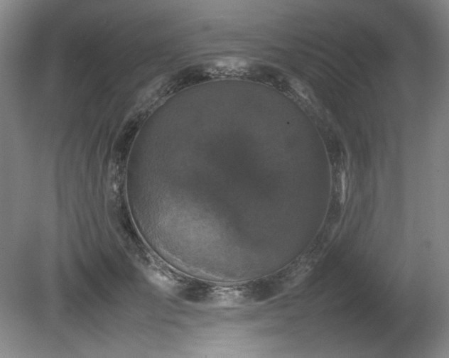 X0000082170701200701191308