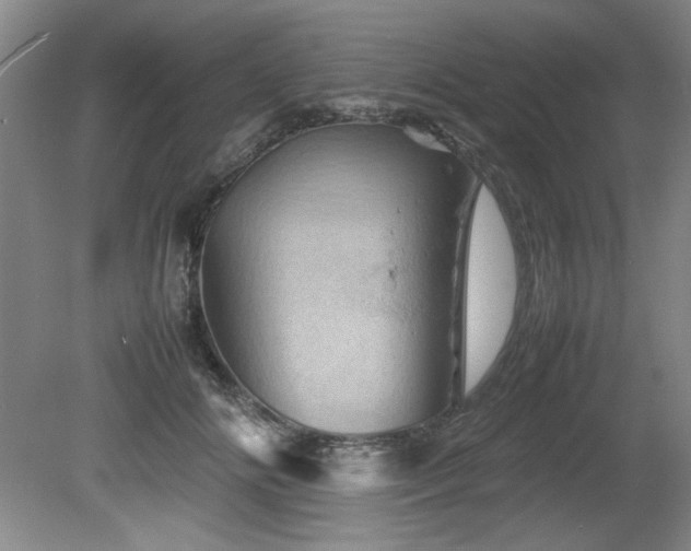 X0000082170702200701191308