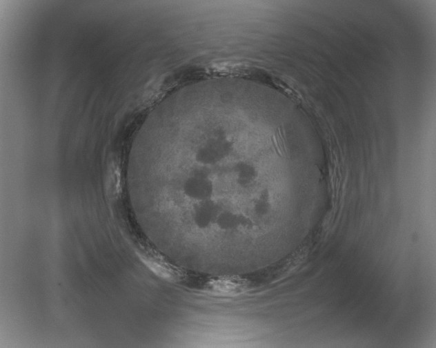 X0000082170703200701191308