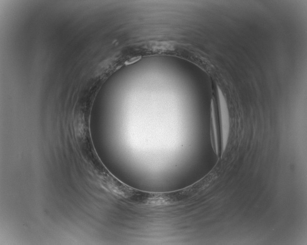 X0000082170704200701191308