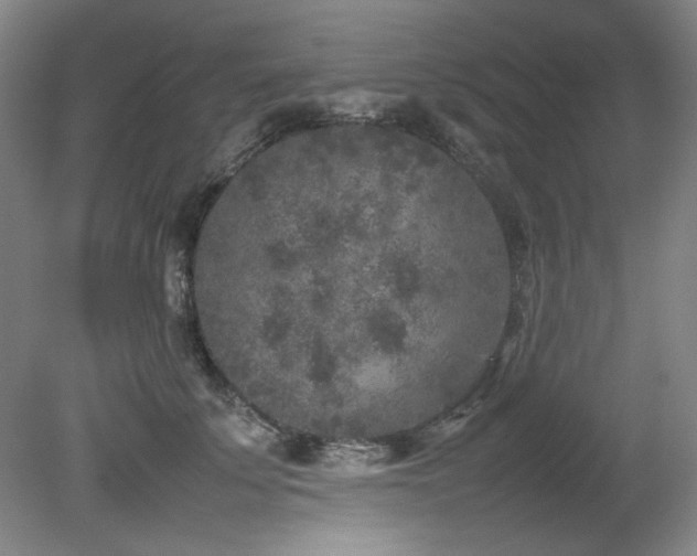 X0000082170707200701191307