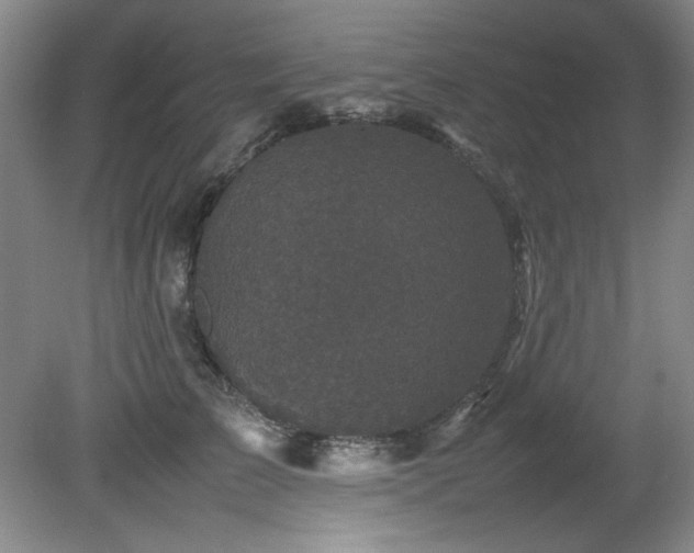 X0000082170709200701191307