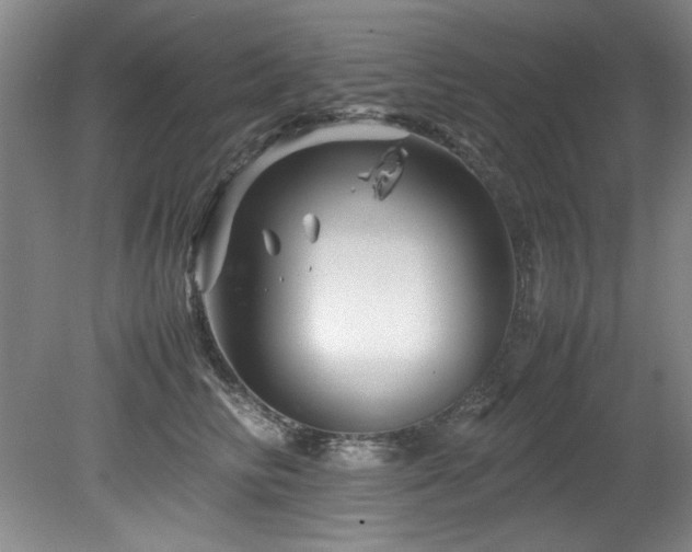 X0000082170710200701191307