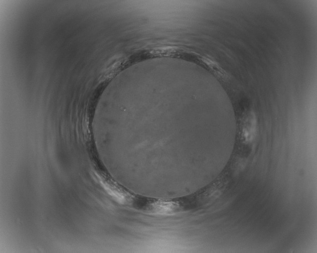 X0000082170711200701191307