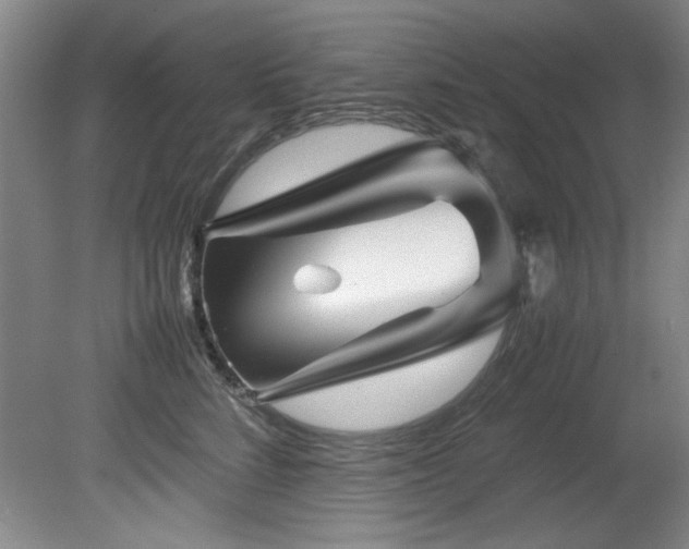 X0000082170712200701191307