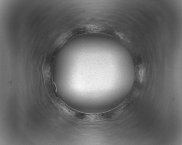 X0000082170713200701191307