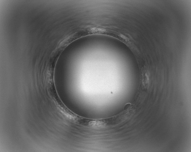 X0000082170714200701191307