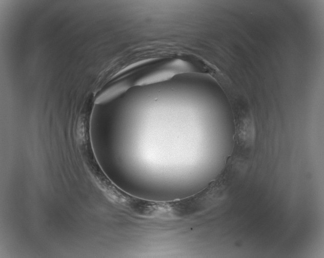 X0000082170715200701191307